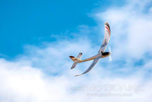 Load image into Gallery viewer, E-flite UMX FPV Radian 730mm (28.7") Wingspan - BNF