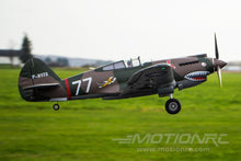 Load image into Gallery viewer, FMS P-40B Warhawk High Speed 980mm (38.6") Wingspan - PNP