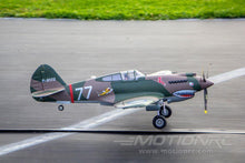 Load image into Gallery viewer, FMS P-40B Warhawk High Speed 980mm (38.6") Wingspan - PNP