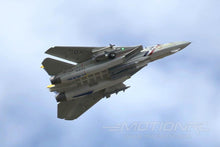 Load image into Gallery viewer, Freewing F-14 Tomcat Twin 80mm EDF Jet - PNP