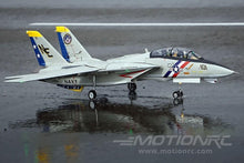 Load image into Gallery viewer, Freewing F-14 Tomcat Twin 80mm EDF Jet - PNP