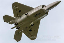 Load image into Gallery viewer, Freewing F-22 Raptor High Performance 4S 64mm EDF Jet - PNP
