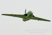 Load image into Gallery viewer, Freewing Lippisch P.15 64mm EDF Jet - PNP - (OPEN BOX)